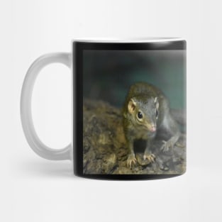 Shrew Mug